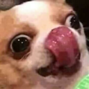 doge1 Discord emoji