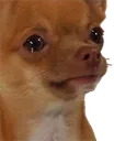 sad