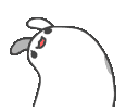 rabbitwiggle