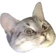 leafydWut leafydWut