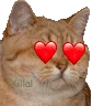 chat_love