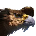 griffin