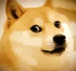 Doge doge Discord Emoji