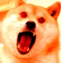 Evildoge evildoge Discord Emoji