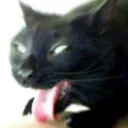 harf