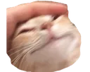 petted2