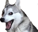 aaa aaa
