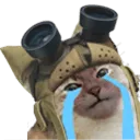 paliCri
