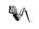 ooersnek
