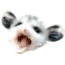 possum possum