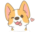 corgi