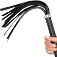 Whip2