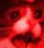 AAAAA
