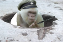 :uwantban: