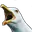 gull gull