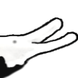:Cat3PEPESTAN: Discord Emote