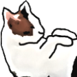 :Cat1Pepestan: Discord Emote