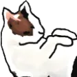 Cat1Pepestan Discord Emoji