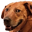:PepestanDogSmile: Discord Emote