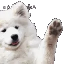 waveboye