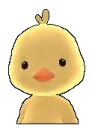 duk