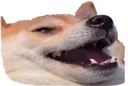 doge Discord Emoji