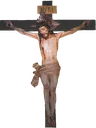 BashTPose