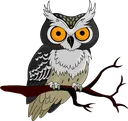 :owlie: