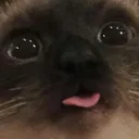 :blenp: