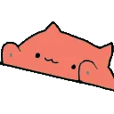 bongo
