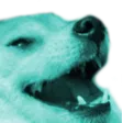 BalanceKek BalanceKek