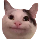 Politecat politecat Discord Emoji