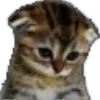 modrnsad