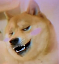 HOLYFUCKGETINSIDEME
