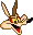 Coyote