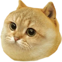 cate
