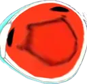 screamdon