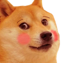 blushdoge