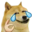 loldoge