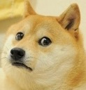 dogesad