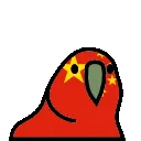 chinaparrot
