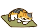 anekosleep