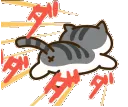 anekorunaway