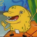 spongedolphin