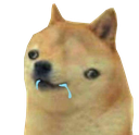 retardoge