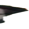 widedigibro10