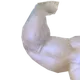 sealFlex1