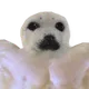 sealFlex2