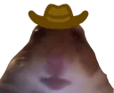 cowboybruh