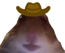 cowbruh